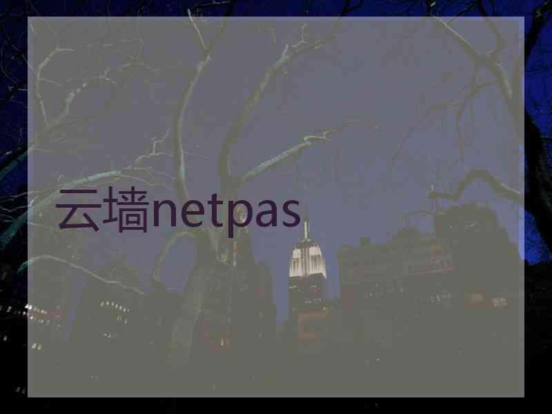 云墙netpas