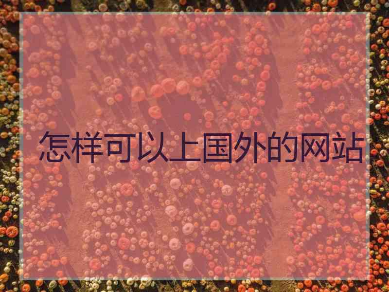 怎样可以上国外的网站