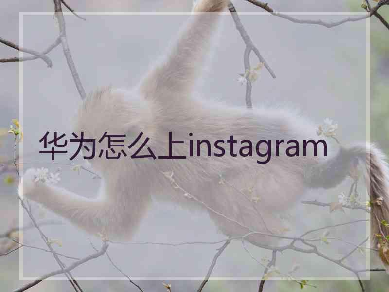 华为怎么上instagram