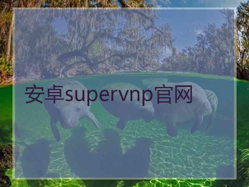 安卓supervnp官网