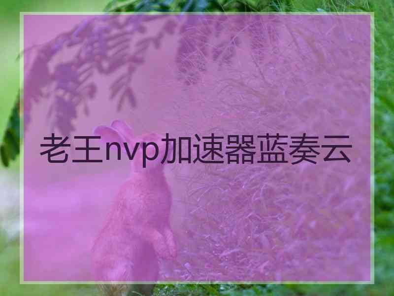 老王nvp加速器蓝奏云