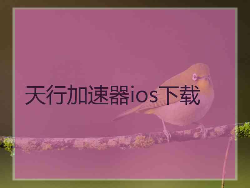 天行加速器ios下载