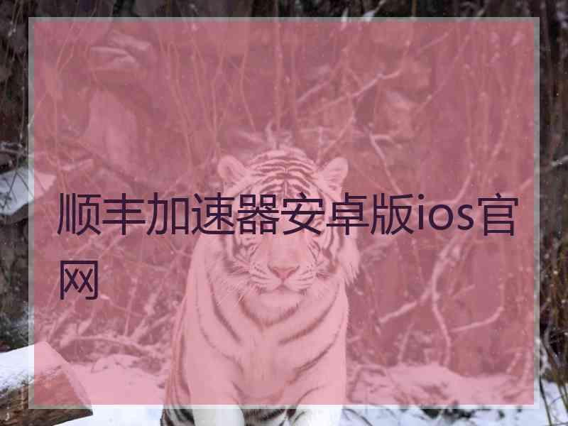 顺丰加速器安卓版ios官网