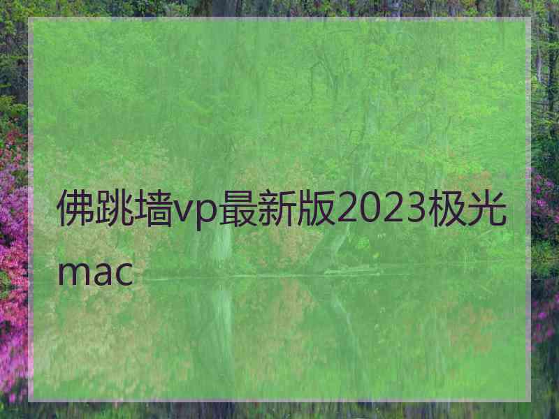 佛跳墙vp最新版2023极光 mac