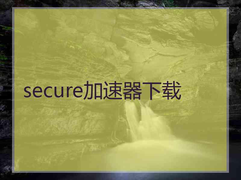 secure加速器下载