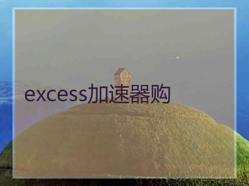 excess加速器购