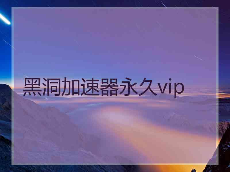 黑洞加速器永久vip