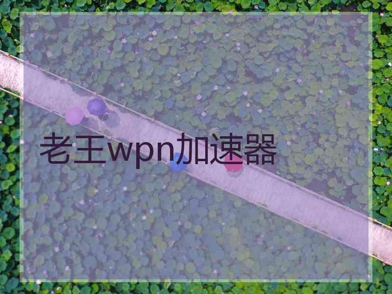 老王wpn加速器