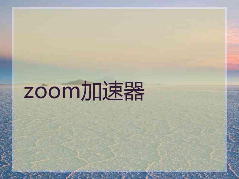 zoom加速器