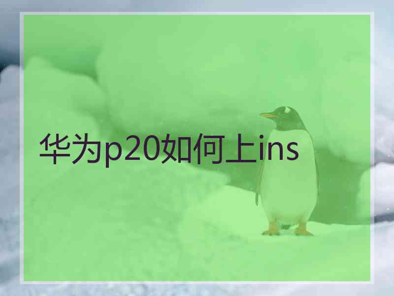 华为p20如何上ins