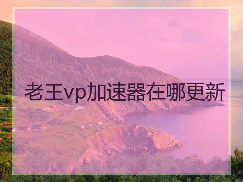 老王vp加速器在哪更新