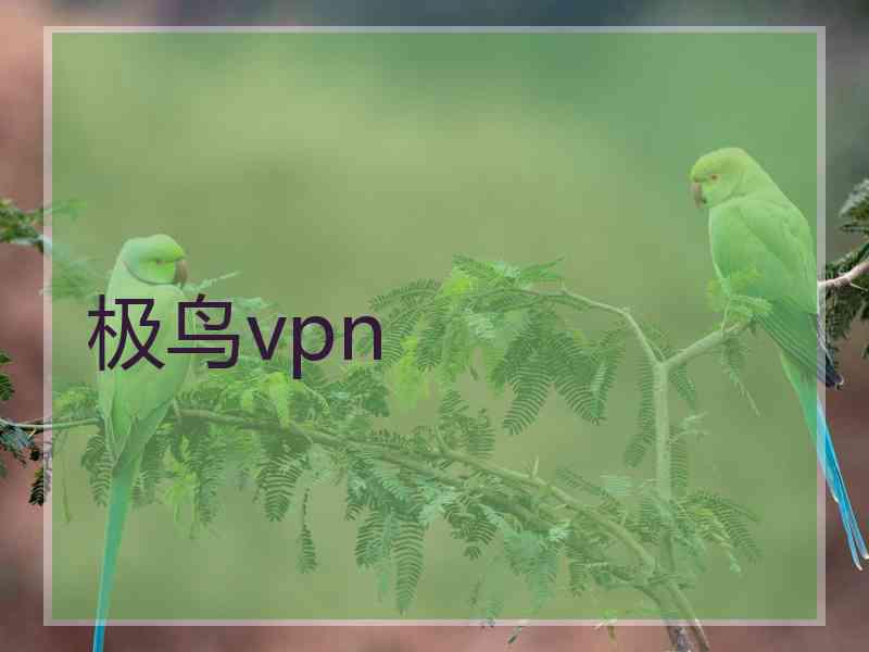 极鸟vpn