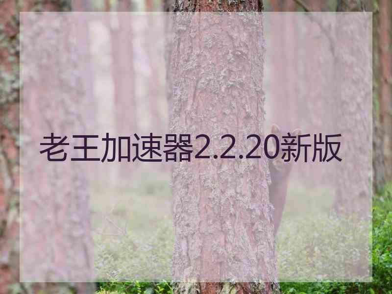 老王加速器2.2.20新版