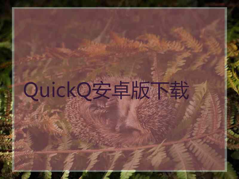 QuickQ安卓版下载