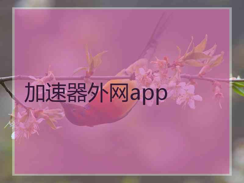 加速器外网app