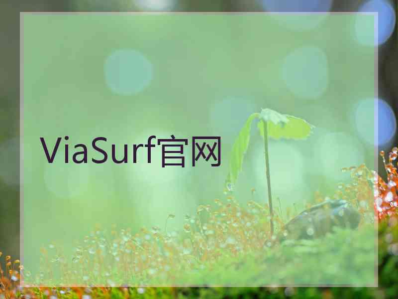 ViaSurf官网