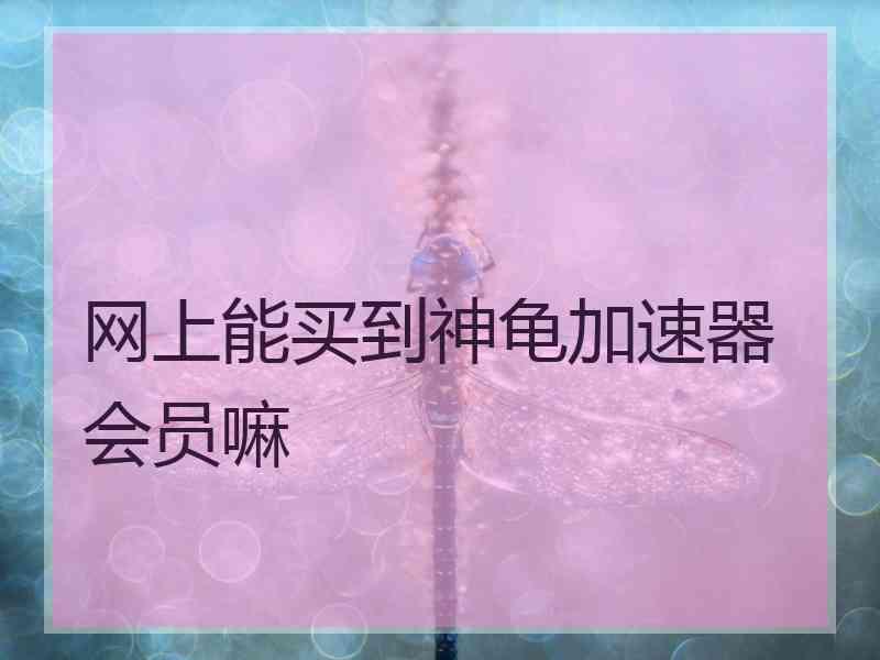 网上能买到神龟加速器会员嘛