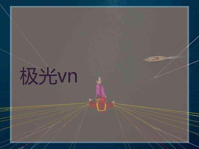 极光vn