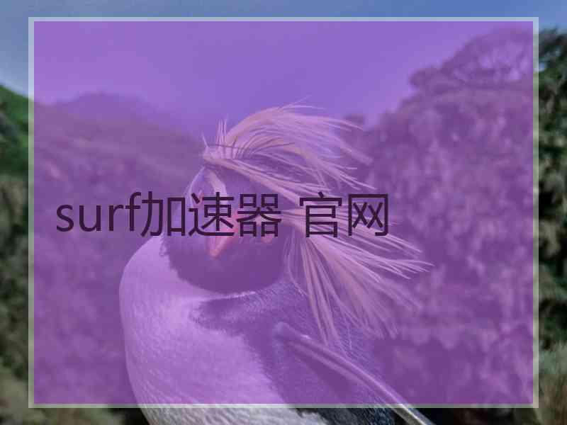 surf加速器 官网