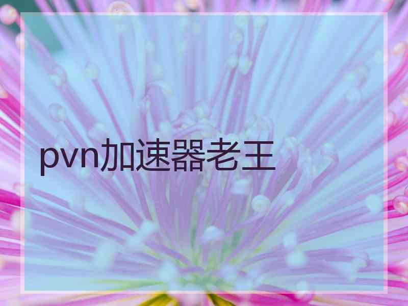 pvn加速器老王