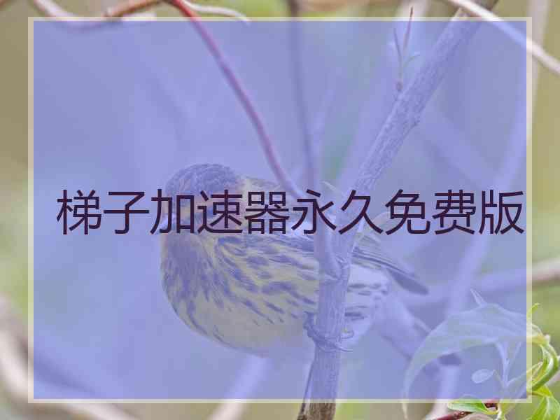 梯子加速器永久免费版