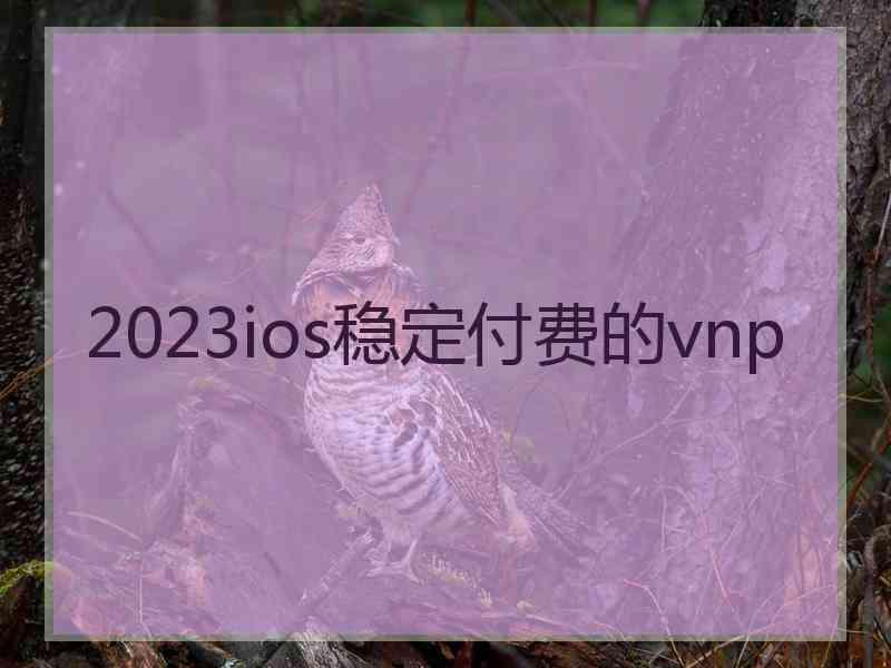 2023ios稳定付费的vnp