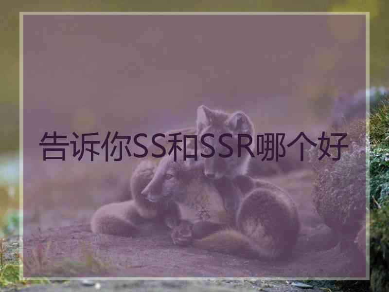 告诉你SS和SSR哪个好