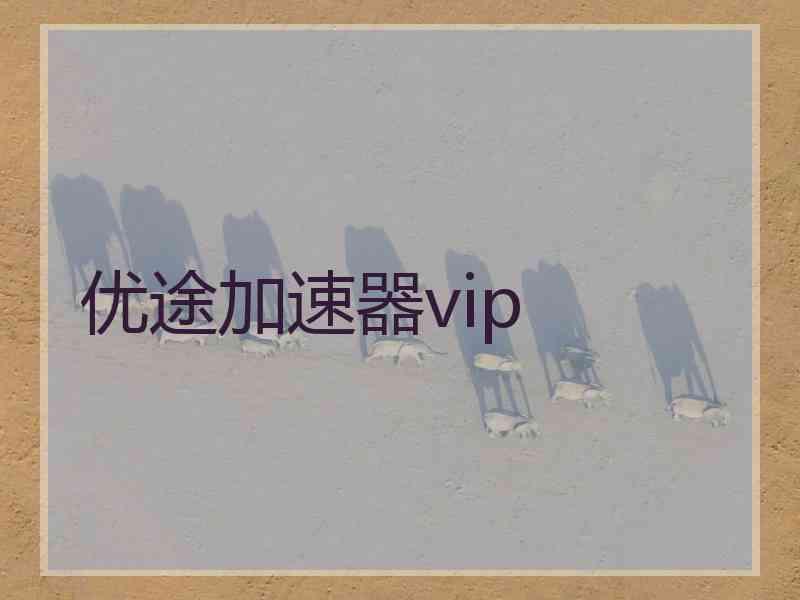 优途加速器vip