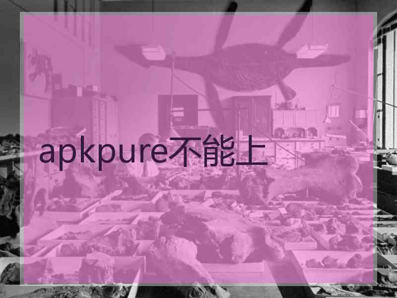 apkpure不能上