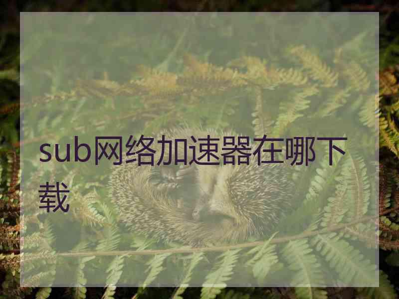 sub网络加速器在哪下载