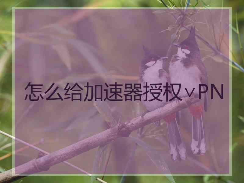 怎么给加速器授权∨PN