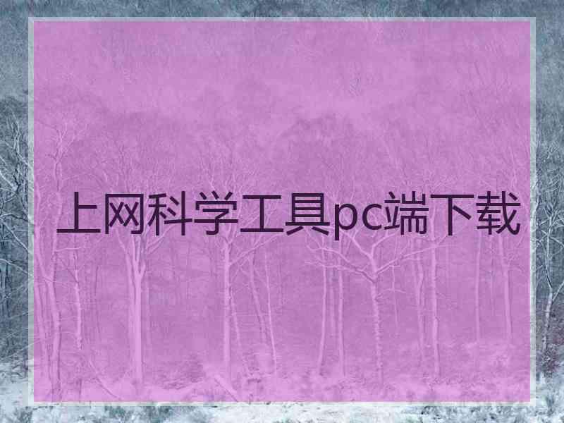 上网科学工具pc端下载