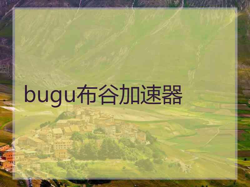 bugu布谷加速器