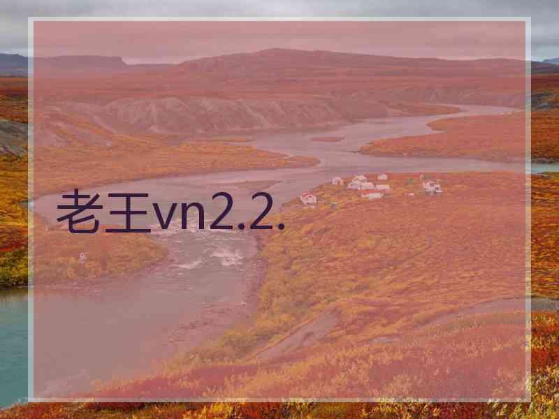 老王vn2.2.