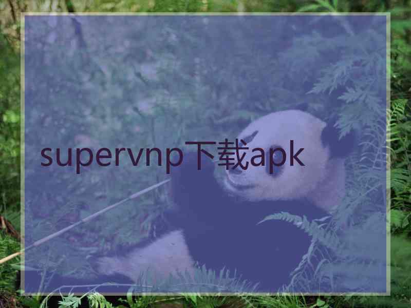 supervnp下载apk