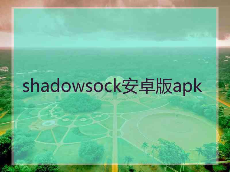 shadowsock安卓版apk