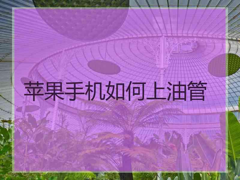 苹果手机如何上油管