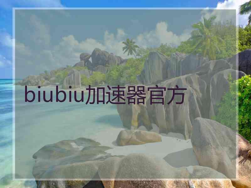 biubiu加速器官方