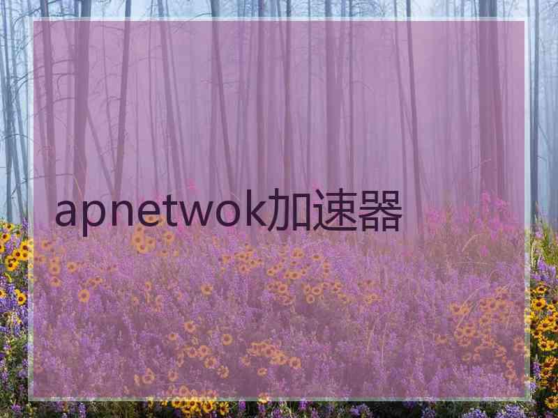 apnetwok加速器