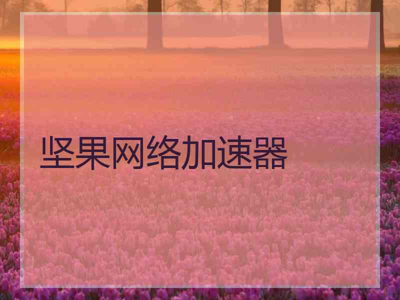 坚果网络加速器