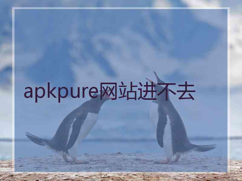 apkpure网站进不去