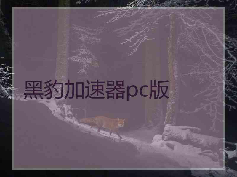 黑豹加速器pc版