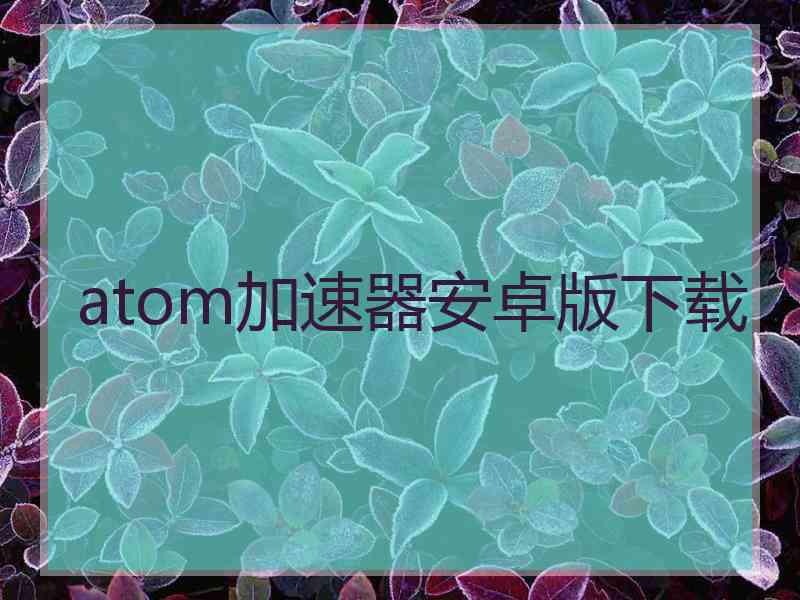 atom加速器安卓版下载