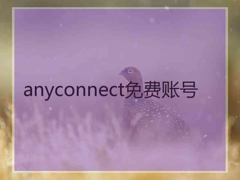 anyconnect免费账号