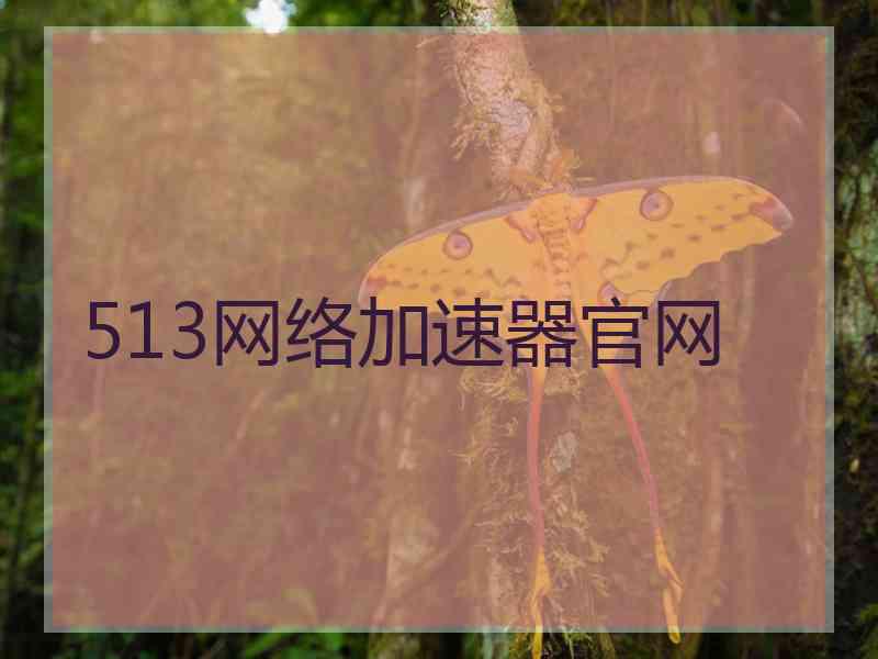 513网络加速器官网