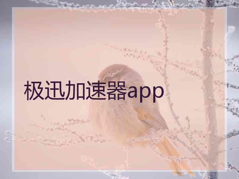 极迅加速器app