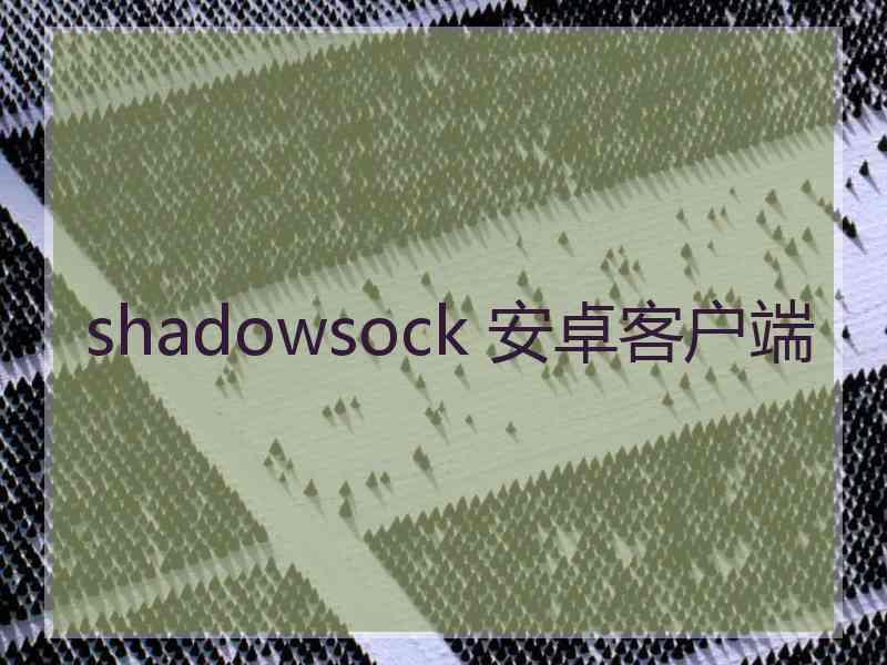 shadowsock 安卓客户端