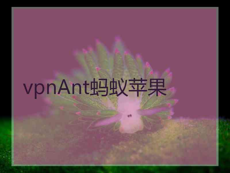 vpnAnt蚂蚁苹果