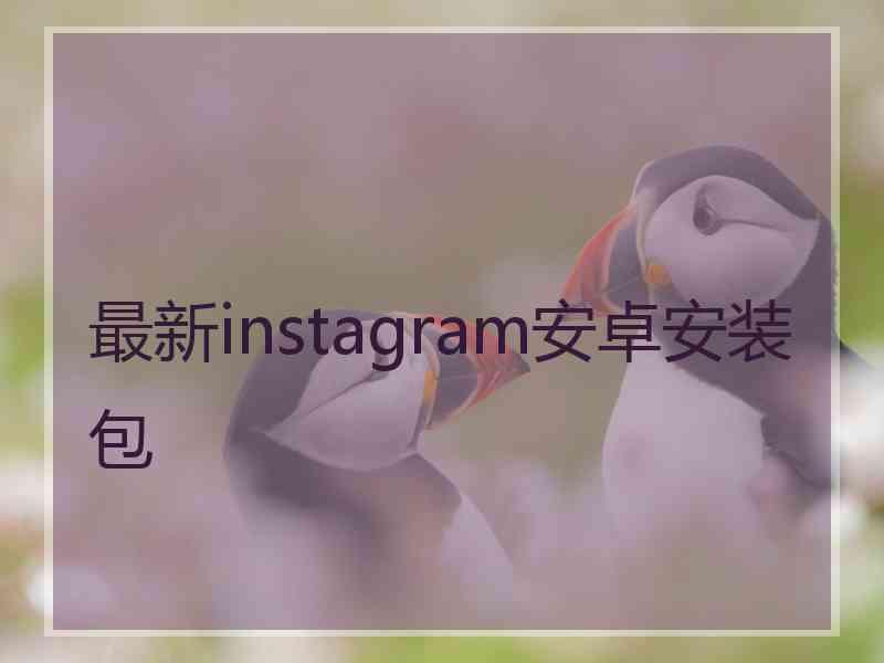 最新instagram安卓安装包