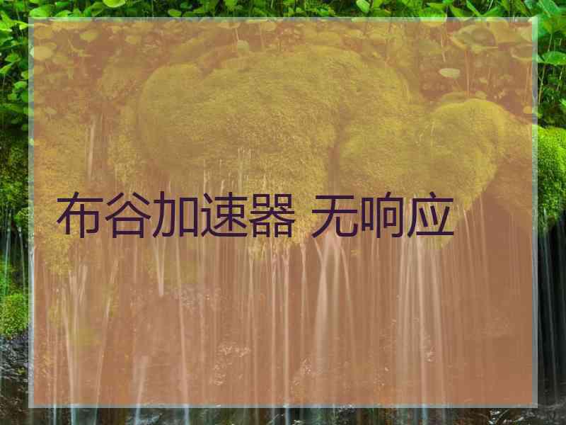 布谷加速器 无响应